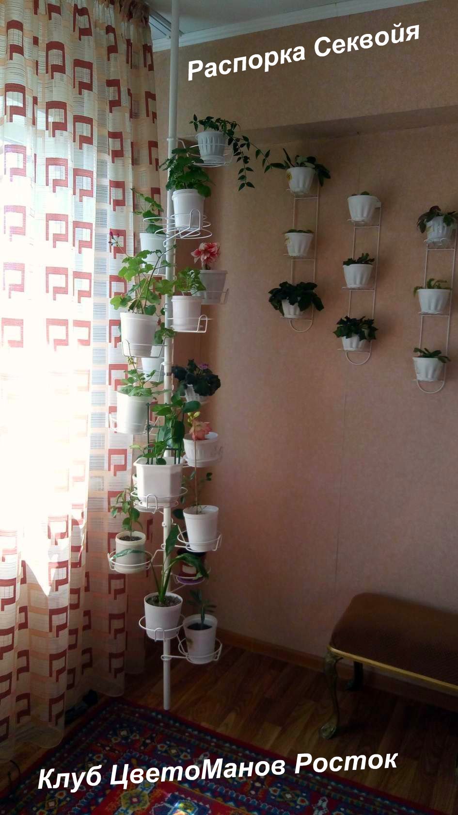 Подставка для цветов распорная напольная . Фото N4