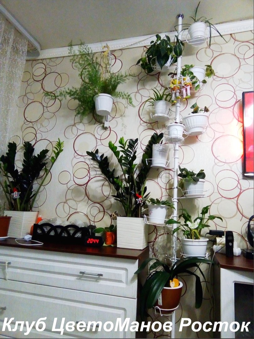 Подставка для цветов распорная напольная . Фото N9