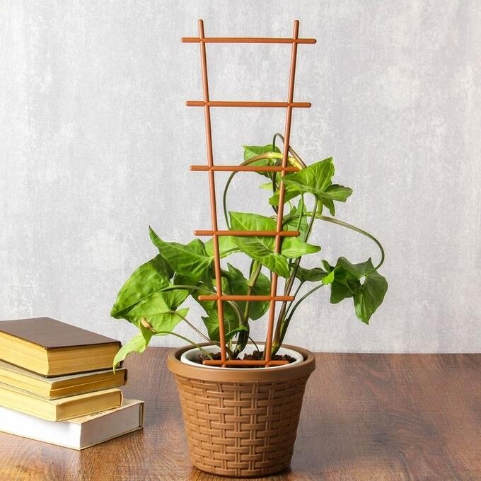 подпорка для растений металлическая. Фото N2