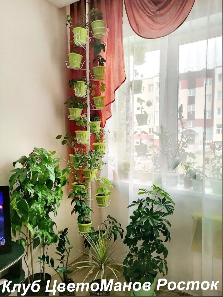 Подставка для цветов распорная напольная . Фото N8