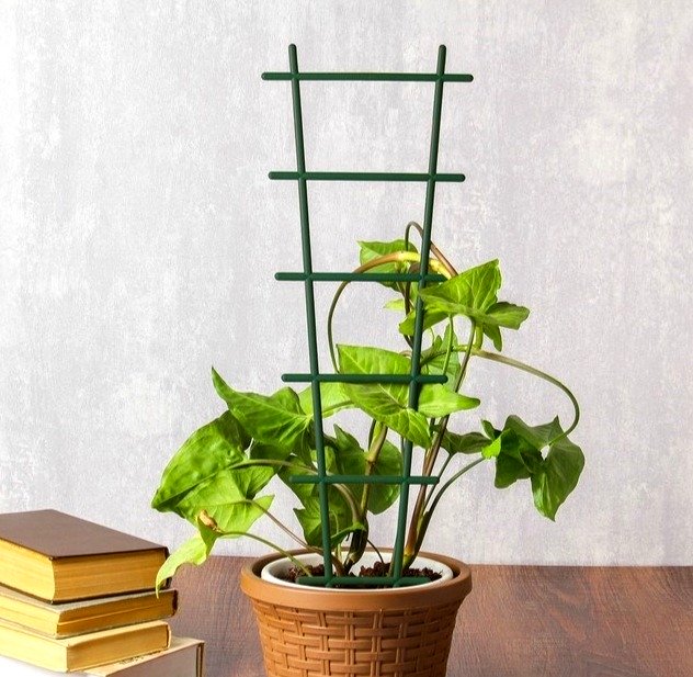 подпорка для растений металлическая. Фото N5